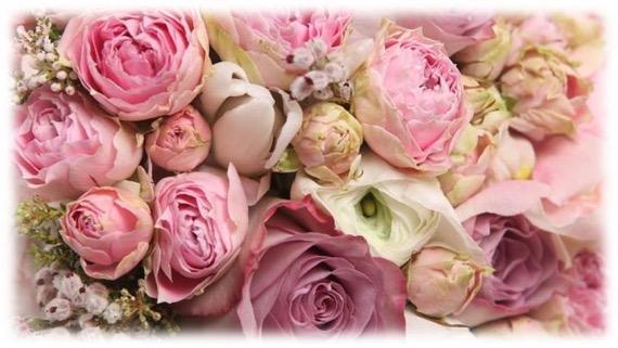 A blooming of ivory,wild_look,blush_pink,white,pink