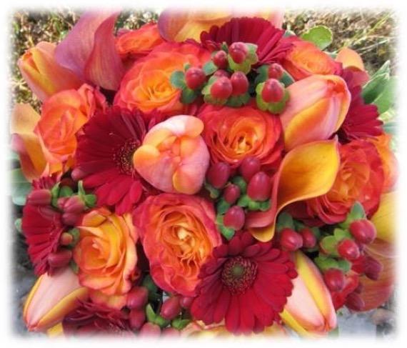 A lovely blend of yellow_orange,burgundy,red,orange_yellow_and_red,yellow_with_orange