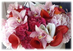 a PLEASANT_DELIGHTFUL of red_carmin,white,fucshia,light_pink,light_pink