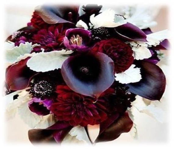A Spice burst of burgandy,white,dark_purple,burgandy,silver,dark_purple 