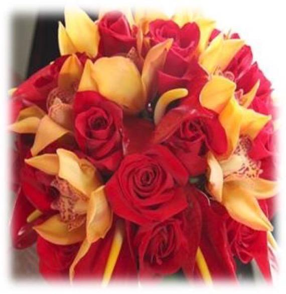 A sunny blend of red_yellow,red_carmin,yellow,fire_red