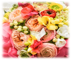 The perfect mate of white,yellow,green,ivory,carmain_with_center_black,yellow_with_center_green,pink,guava